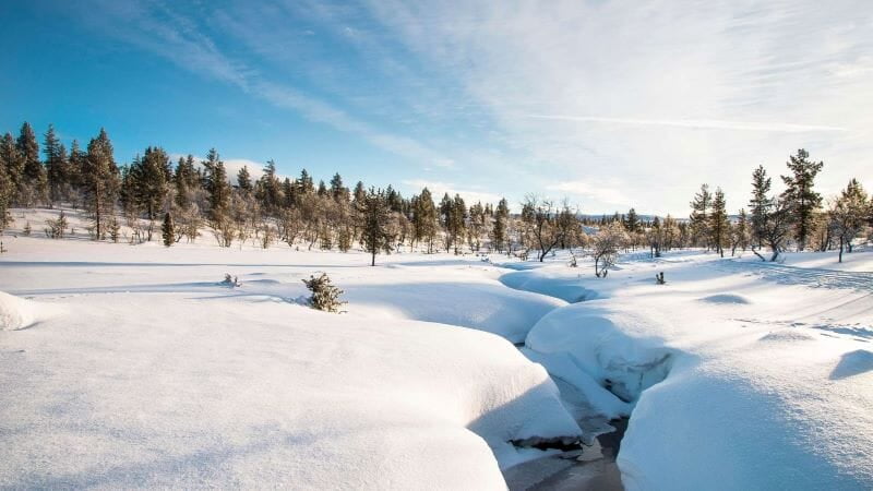 Paesaggio innevato