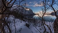 Paesaggio innevato