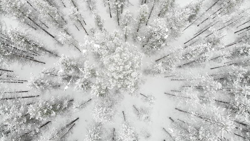 Paesaggio innevato